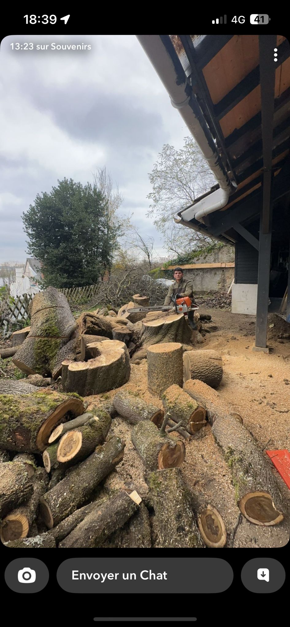 Démontage d'arbre par cordes à Tours