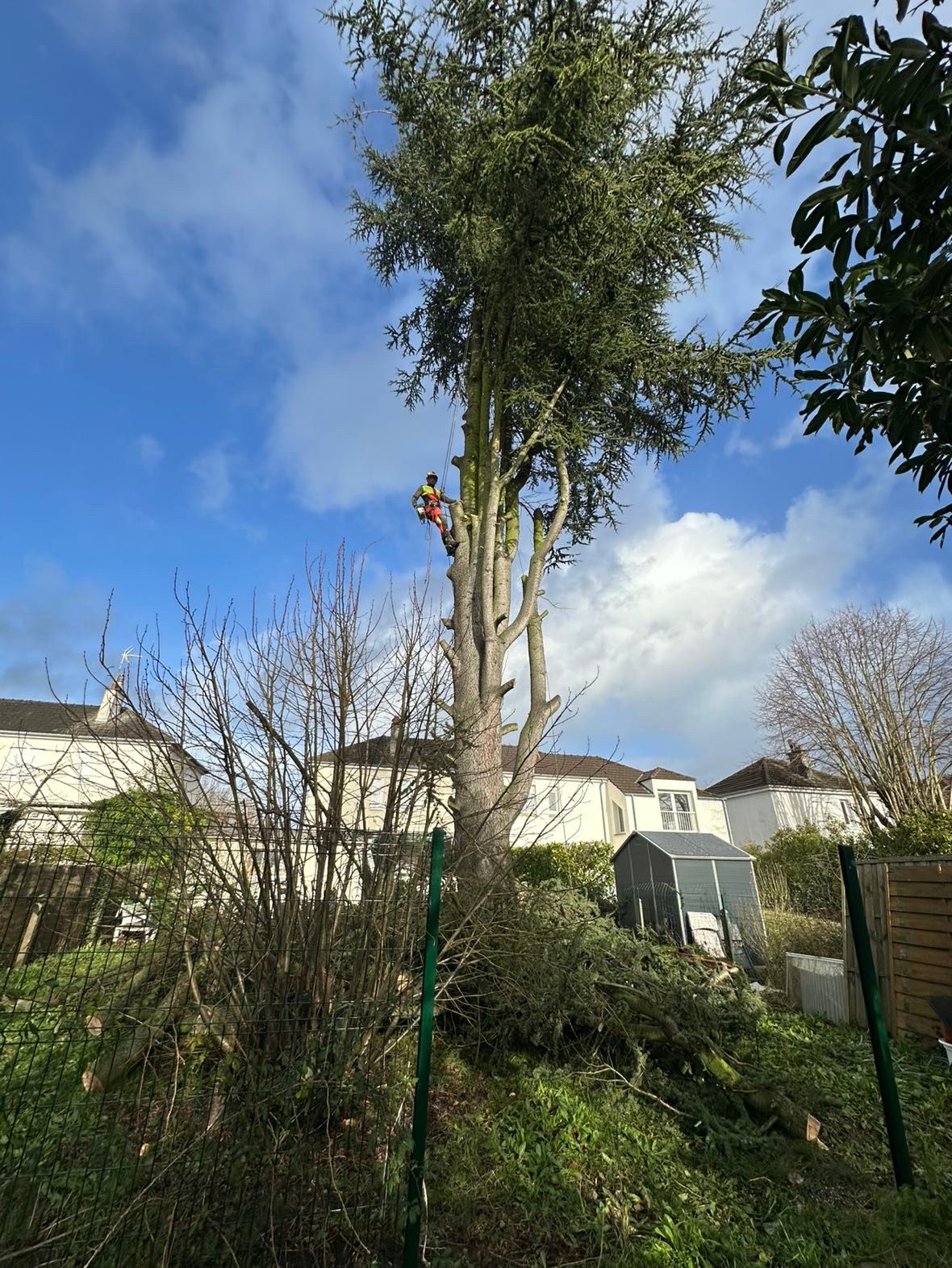 Élagage à Saint-Avertin