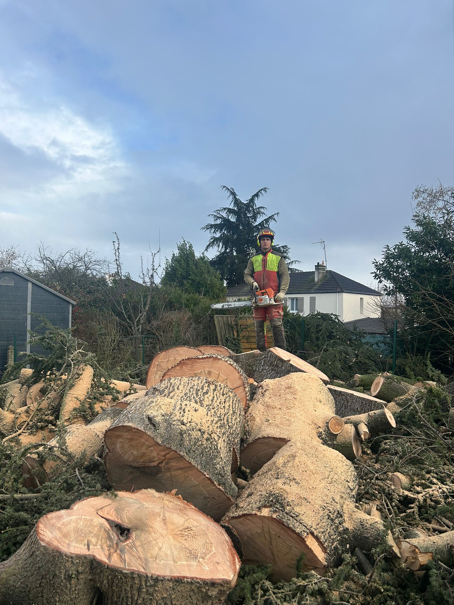 Quand et pourquoi élaguer ses arbres