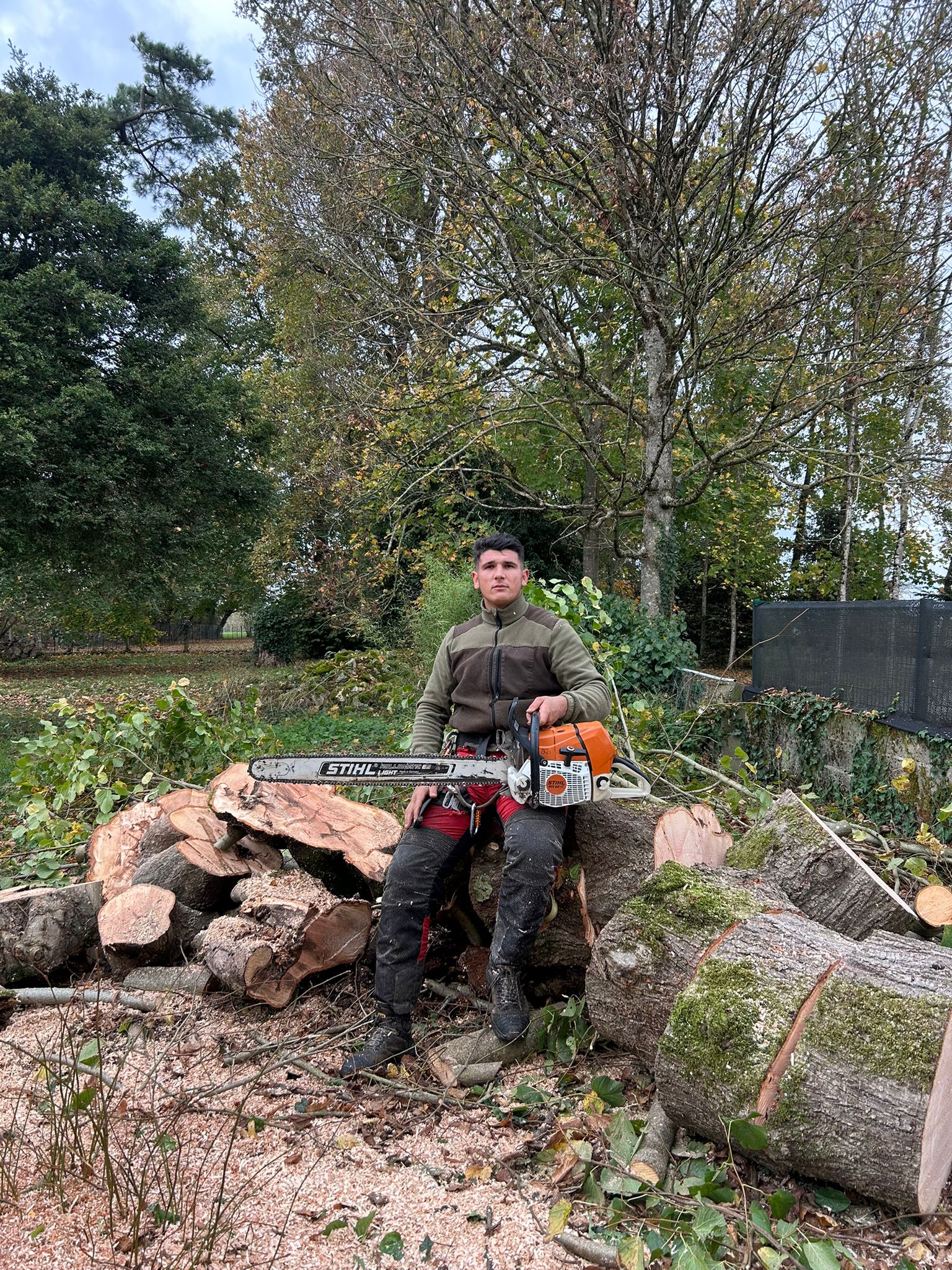 Élagage à Montlouis-sur-Loire par Schartier élagueur 37