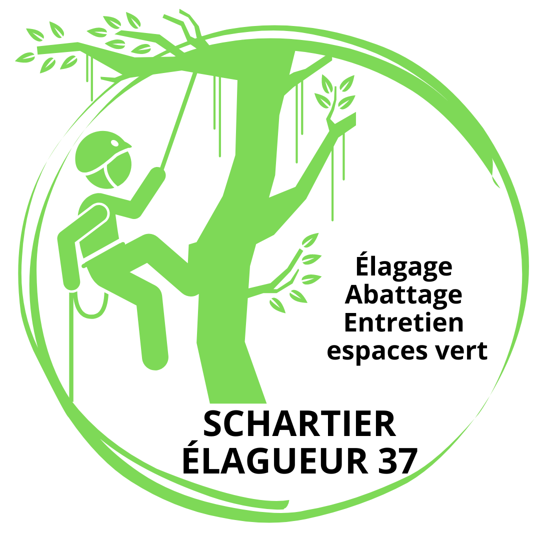 Schartier élagueur 37